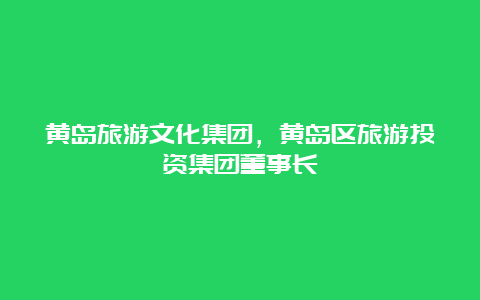 黄岛旅游文化集团，黄岛区旅游投资集团董事长