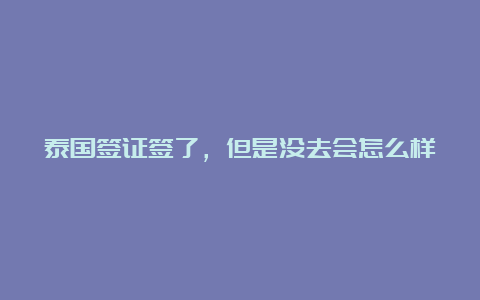 泰国签证签了，但是没去会怎么样