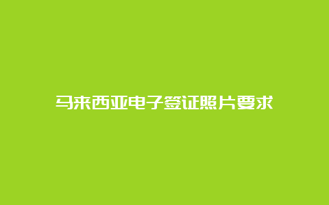 马来西亚电子签证照片要求