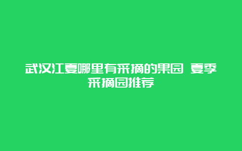 武汉江夏哪里有采摘的果园 夏季采摘园推荐