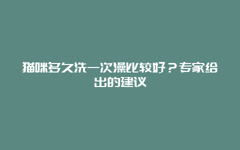 猫咪多久洗一次澡比较好？专家给出的建议