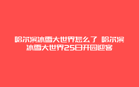 哈尔滨冰雪大世界怎么了 哈尔滨冰雪大世界25日开园迎客