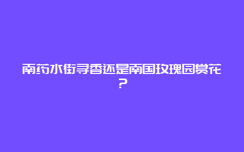 南药水街寻香还是南国玫瑰园赏花？