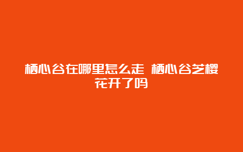 栖心谷在哪里怎么走 栖心谷芝樱花开了吗