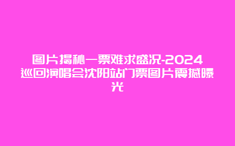 图片揭秘一票难求盛况-2024巡回演唱会沈阳站门票图片震撼曝光