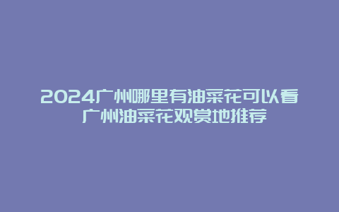 2024广州哪里有油菜花可以看 广州油菜花观赏地推荐