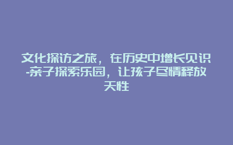 文化探访之旅，在历史中增长见识-亲子探索乐园，让孩子尽情释放天性