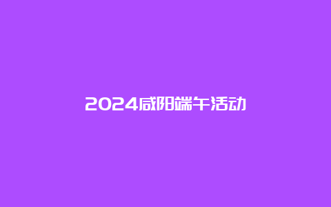 2024咸阳端午活动