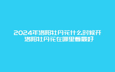 2024年洛阳牡丹花什么时候开 洛阳牡丹花在哪里看最好