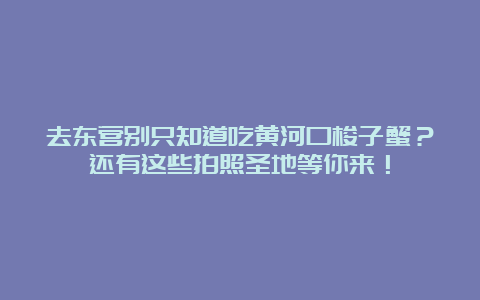 去东营别只知道吃黄河口梭子蟹？还有这些拍照圣地等你来！