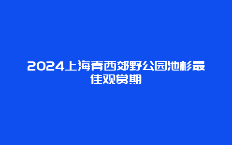 2024上海青西郊野公园池杉最佳观赏期