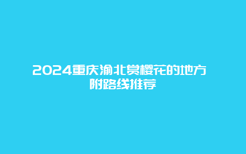 2024重庆渝北赏樱花的地方 附路线推荐