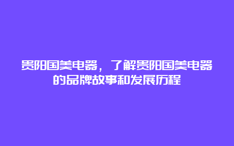 贵阳国美电器，了解贵阳国美电器的品牌故事和发展历程