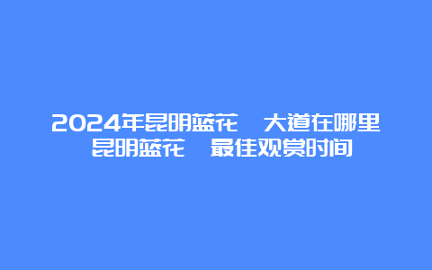 2024年昆明蓝花楹大道在哪里 昆明蓝花楹最佳观赏时间