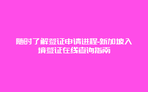 随时了解签证申请进程-新加坡入境签证在线查询指南