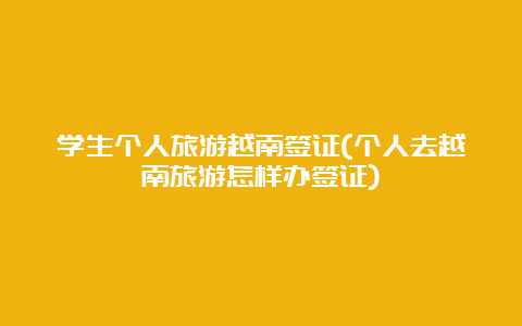 学生个人旅游越南签证(个人去越南旅游怎样办签证)