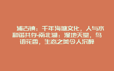 澉浦古镇：千年海塘文化，人与水和谐共存-南北湖：湿地天堂，鸟语花香，生态之美令人沉醉