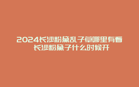 2024长沙粉黛乱子草哪里有看 长沙粉黛子什么时候开