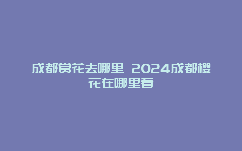 成都赏花去哪里 2024成都樱花在哪里看