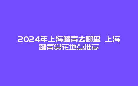 2024年上海踏青去哪里 上海踏青赏花地点推荐