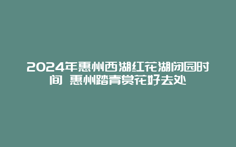 2024年惠州西湖红花湖闭园时间 惠州踏青赏花好去处