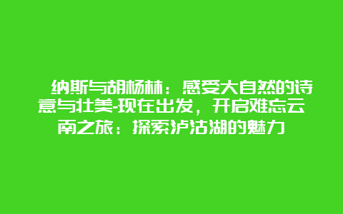 喀纳斯与胡杨林：感受大自然的诗意与壮美-现在出发，开启难忘云南之旅：探索泸沽湖的魅力