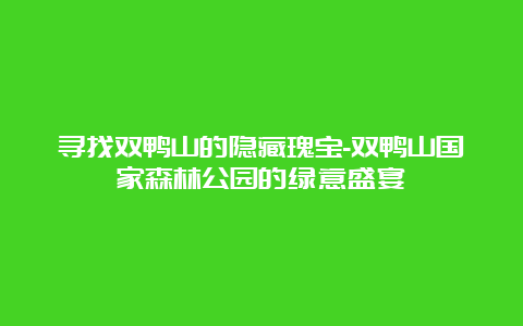 寻找双鸭山的隐藏瑰宝-双鸭山国家森林公园的绿意盛宴