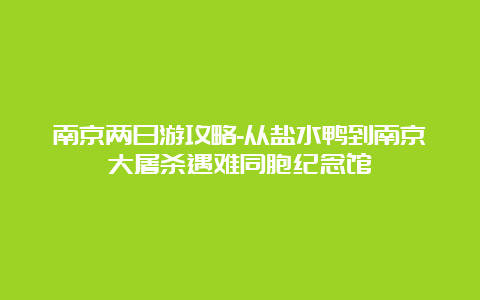 南京两日游攻略-从盐水鸭到南京大屠杀遇难同胞纪念馆