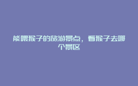 能喂猴子的旅游景点，看猴子去哪个景区