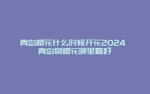 青岛樱花什么时候开花2024 青岛赏樱花哪里最好