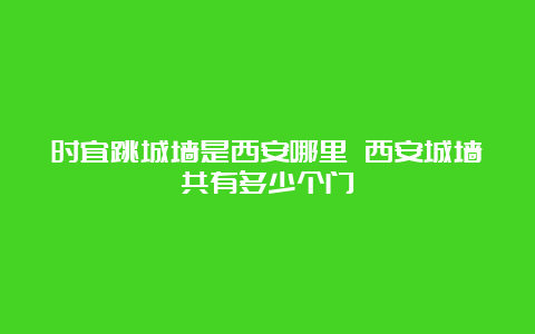 时宜跳城墙是西安哪里 西安城墙共有多少个门