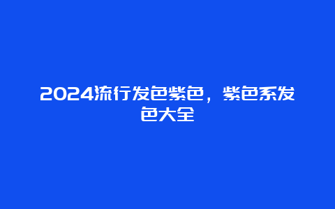 2024流行发色紫色，紫色系发色大全