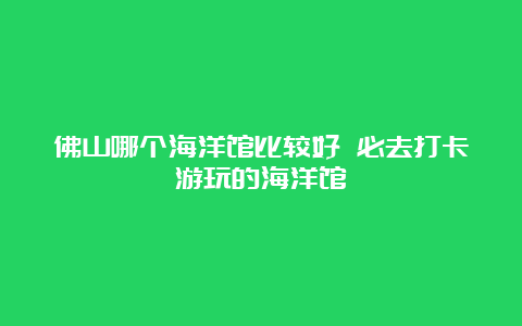 佛山哪个海洋馆比较好 必去打卡游玩的海洋馆