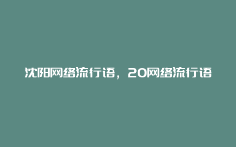 沈阳网络流行语，20网络流行语