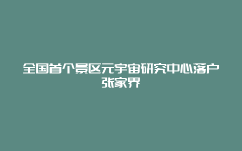 全国首个景区元宇宙研究中心落户张家界