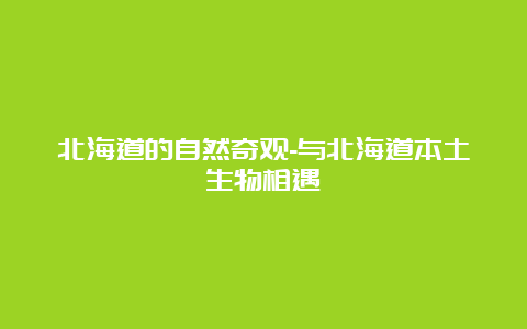 北海道的自然奇观-与北海道本土生物相遇