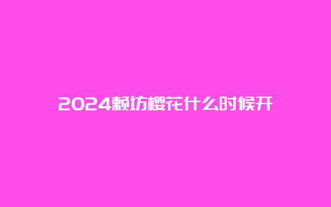 2024赖坊樱花什么时候开