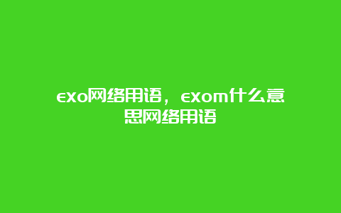 exo网络用语，exom什么意思网络用语