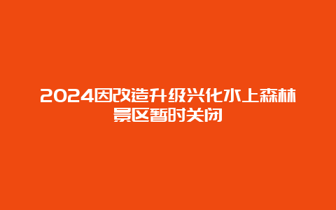 2024因改造升级兴化水上森林景区暂时关闭