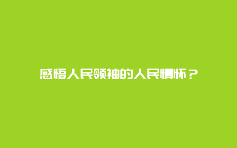 感悟人民领袖的人民情怀？