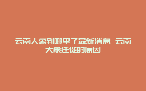 云南大象到哪里了最新消息 云南大象迁徙的原因