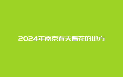 2024年南京春天看花的地方