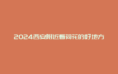 2024西安附近看荷花的好地方