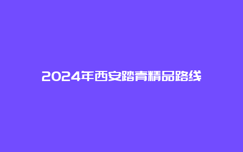 2024年西安踏青精品路线