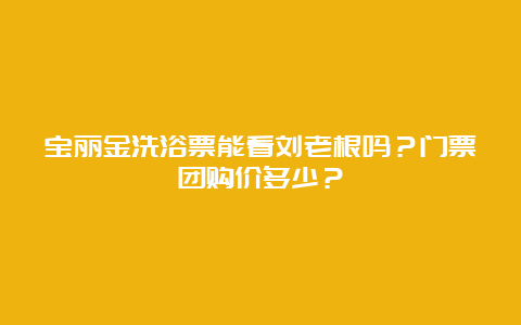 宝丽金洗浴票能看刘老根吗？门票团购价多少？