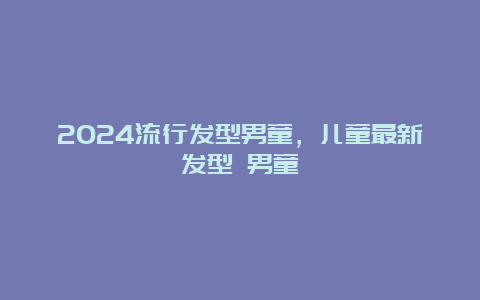 2024流行发型男童，儿童最新发型 男童