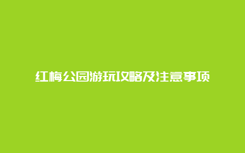 红梅公园游玩攻略及注意事项