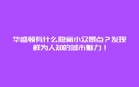 华盛顿有什么隐藏小众景点？发现鲜为人知的城市魅力！