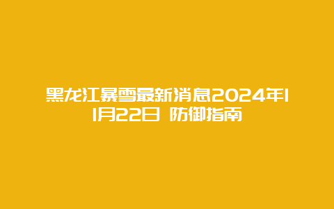 黑龙江暴雪最新消息2024年11月22日 防御指南