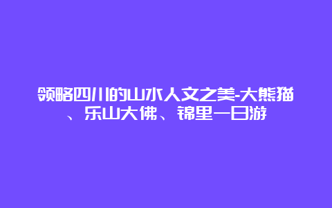 领略四川的山水人文之美-大熊猫、乐山大佛、锦里一日游